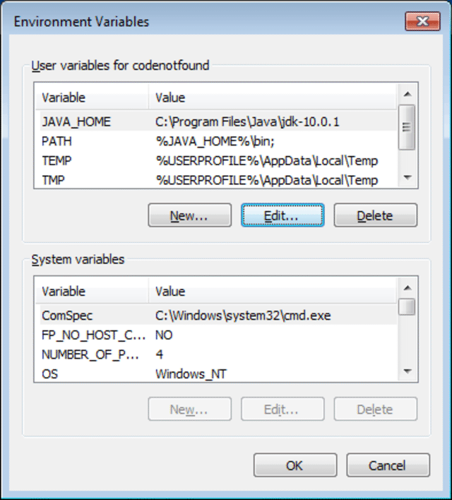 java 10 environment variables